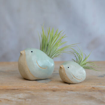 Bird Air Plant Holder In Mint Green, 4 of 11
