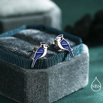 Blue Jay Sterling Silver Stud Earrings, 3 of 11