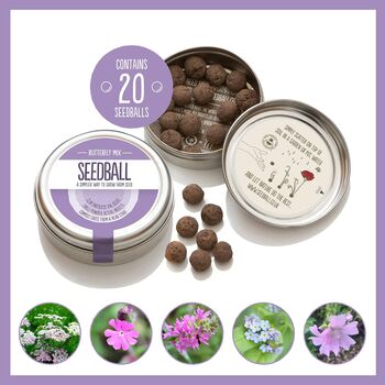 Butterfly Seedball Wildflower Gift Seed Ball Mix Tin, 4 of 10