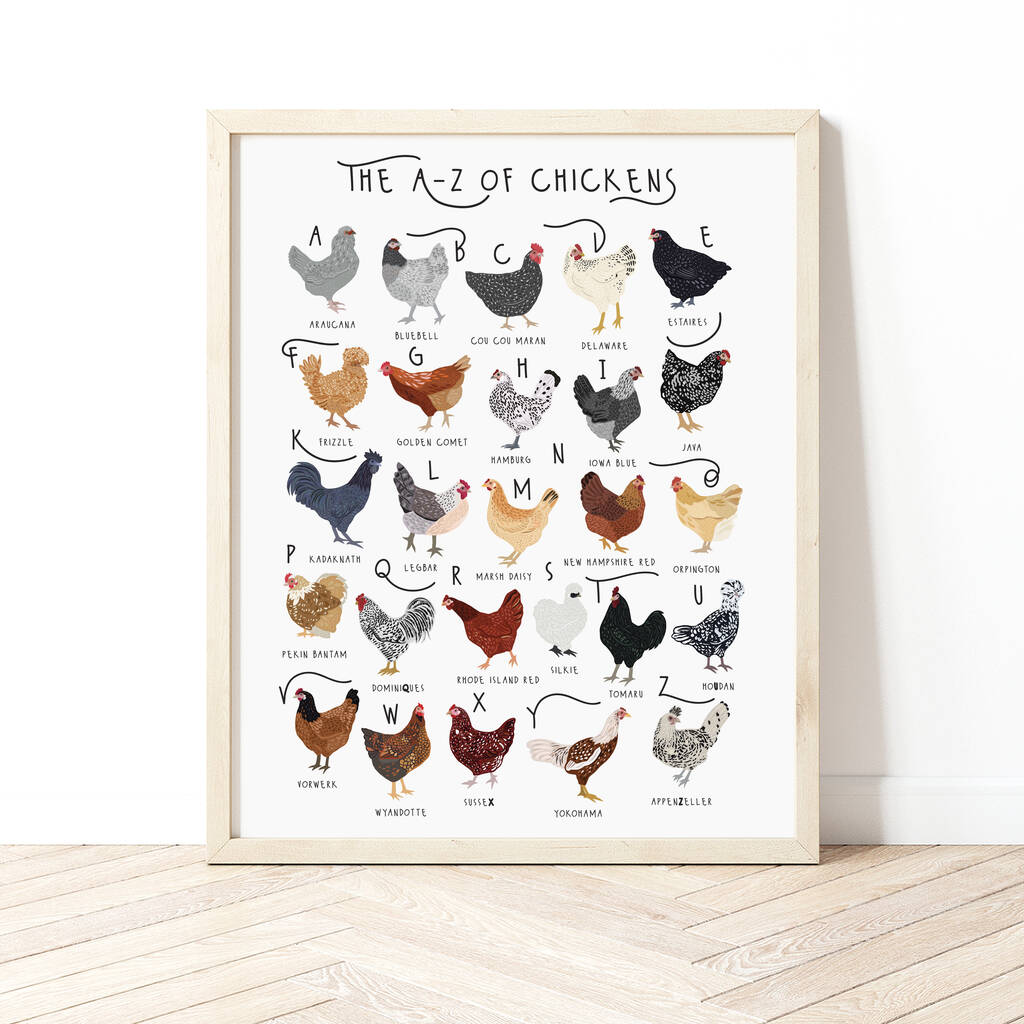 The A To Z Of Chickens Print, 1 of 6