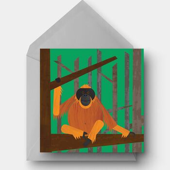 Pack Of Six Monkey Greetings Cards, 3 of 9