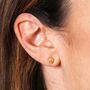 Sterling Silver Shell Stud Earrings, thumbnail 3 of 6