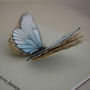 Personalised Little Butterfly Box Gift, thumbnail 8 of 10