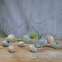 Bird Air Plant Holder In Mint Green, thumbnail 7 of 11