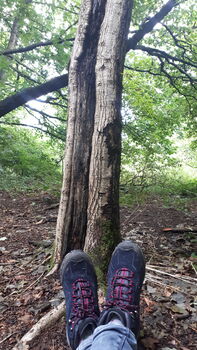 Forest Bathing In Liverpool: Your Journey Into Nature, 3 of 8