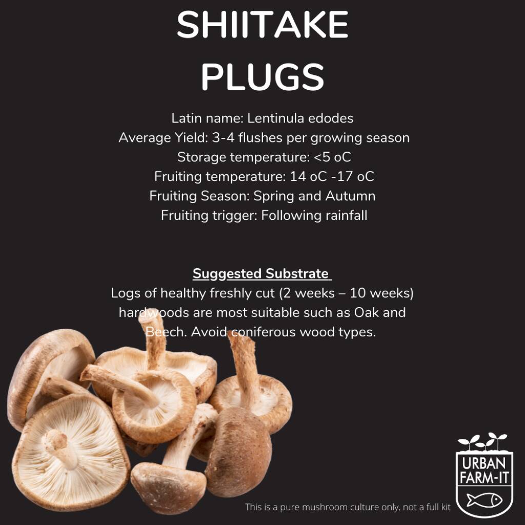 Shiitake Mushroom Log Growing Kit Gift Option By Urban FarmIt
