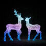 Twinkly Smart LED Acrylic Christmas Stag And Doe, thumbnail 1 of 4