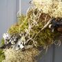 Four Moss Wreath For Home Decoration, thumbnail 2 of 3