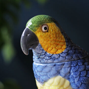 Blue And Yellow Parrot Storage Jar, Ceramic Pot, 3 of 6