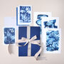 Art And Postcard Gift Set British Seaweed, thumbnail 1 of 5