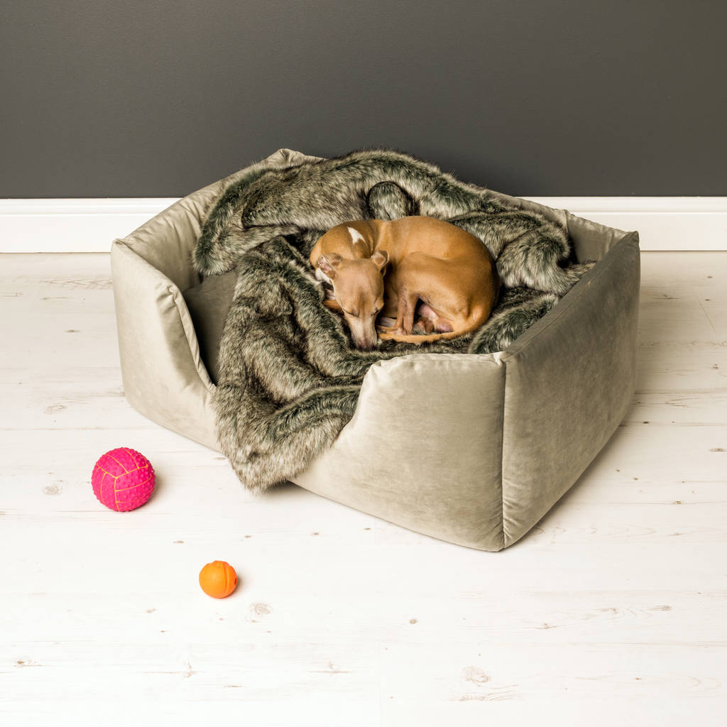 Charley Chau Deep Sided Dog Bed In Velour By Charley Chau