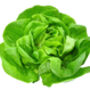 Lettuce 'Cut And Come Again' Six X Plug Plant Pack, thumbnail 1 of 6