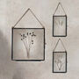 Antique Pressed Flower Frame: Small Gypsophila, thumbnail 5 of 7