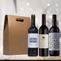 Vino Coco 'Top Rated Reds' Three Red Wine Gift Set, thumbnail 1 of 5