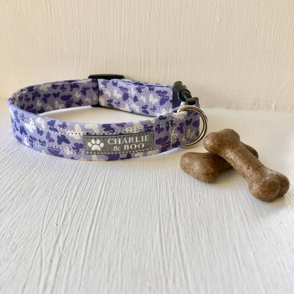 butterfly dog collar