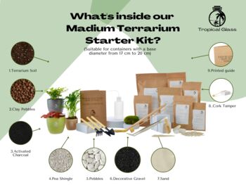 Medium Diy Terrarium Kit With A Step By Step Guide, 5 of 8
