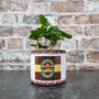 Retro Coffee Houseplant Pot Gift Surprise Plant, thumbnail 4 of 10
