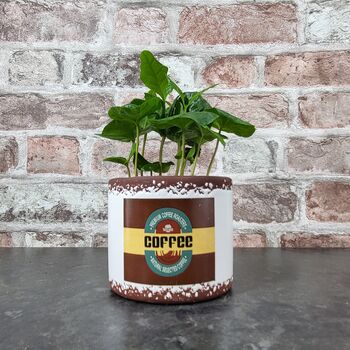 Retro Coffee Houseplant Pot Gift Surprise Plant, 4 of 10