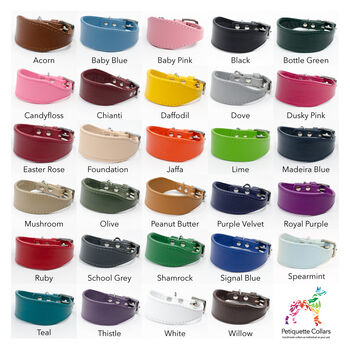 Colour Contrast Leather Whippet Collar, 2 of 11