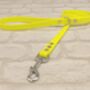 Waterproof Dog Collar And Lead Set Neon Yellow, thumbnail 3 of 3