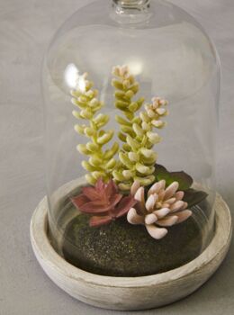 Succulents In A Glass Dome, 2 of 4