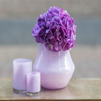 Glass Orchid Pot Marco Lilac Colour By Dut Z, 3 of 3