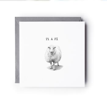 Ti A Fi Sheep Greeting Card, 3 of 6