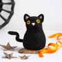 Halloween Cat Easy Needle Felting Kit, thumbnail 2 of 8