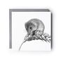 Harvest Field Mouse Countryside Greeting Card, thumbnail 2 of 5