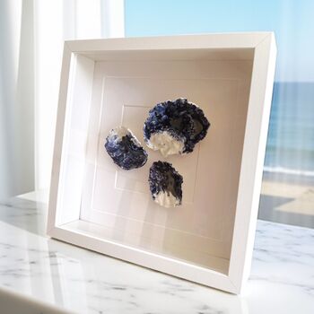 Porcelain Glazed Shell Beach Art: Rock Pools, 2 of 7