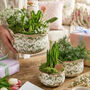 Personalised Gift Set Of Three Irina Green Botanical Planters, thumbnail 1 of 12