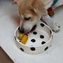 Dog Pet Bowl, thumbnail 1 of 2