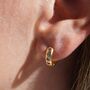 Pink Stone Petite Hoop Earrings, thumbnail 1 of 6