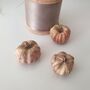 Dried Baby Pumpkin Autumn Potpourri Home Decoration Scented With Pumpkin Spice, thumbnail 6 of 10