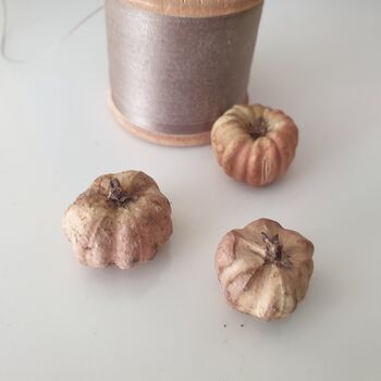 Dried Baby Pumpkin Autumn Potpourri Home Decoration Scented With Pumpkin Spice, 6 of 10