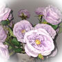 Faux Flowers Stems David Austin Roses, thumbnail 1 of 2