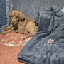 Personalised Embroidered Fleece Pet Dog Blanket, thumbnail 3 of 8