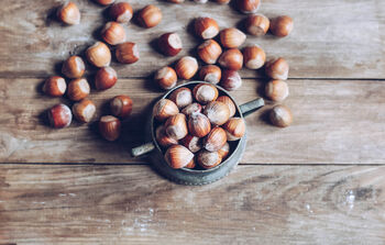 Walnut Tree, 'Juglans Regia', 4 of 8