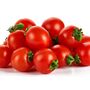 Tomato Plants 'Tumbling Tom Red' Six Plug Plant Pack, thumbnail 4 of 8