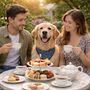 Dog Friendly Afternoon Tea For Two With Your Pup, thumbnail 1 of 8