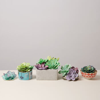Paper Succulent Making Letterbox Gift Set, 5 of 11