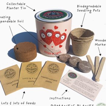 Seeds Of Love. Eco Grow Your Own Plant Kit, 3 of 7