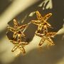 Gold Star Earrings, thumbnail 2 of 2