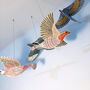Pop Up Bird Decoration Kit, thumbnail 5 of 12