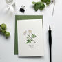 ‘Dog Rose’ Wildflower Notecard/Greeting Card, thumbnail 1 of 2