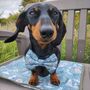 Paws Outdoors Sit Mat, thumbnail 5 of 11