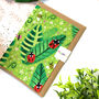 Insect Ladybird And Bee Pattern Card, thumbnail 1 of 12