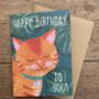 Ginger Cat Birthday Card, thumbnail 1 of 2