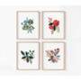 Set Of Four Floral Prints, thumbnail 1 of 5