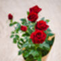 Mini Red Rose, thumbnail 3 of 4